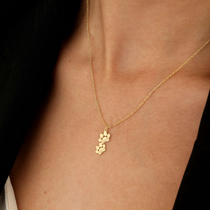 Collar o Pulsera con Huella de Patas