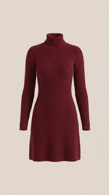 Geneva | Vestido Mini de Punto con Cuello Alto